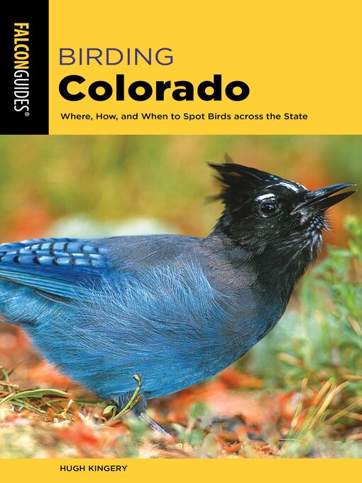 Cover image for Birding Colorado